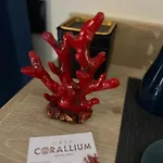 Oda ve Kahvaltı Casa Corallium 4*