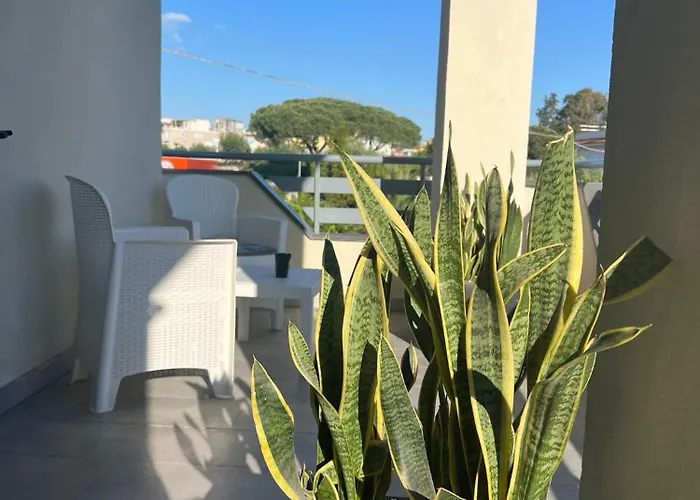Nocleg ze śniadaniem Casa Corallium 4*
